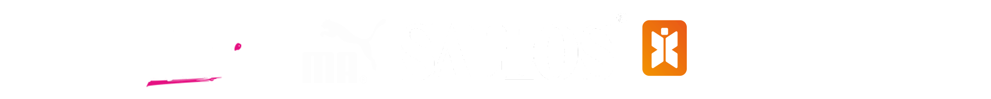 presenter_lp_stands